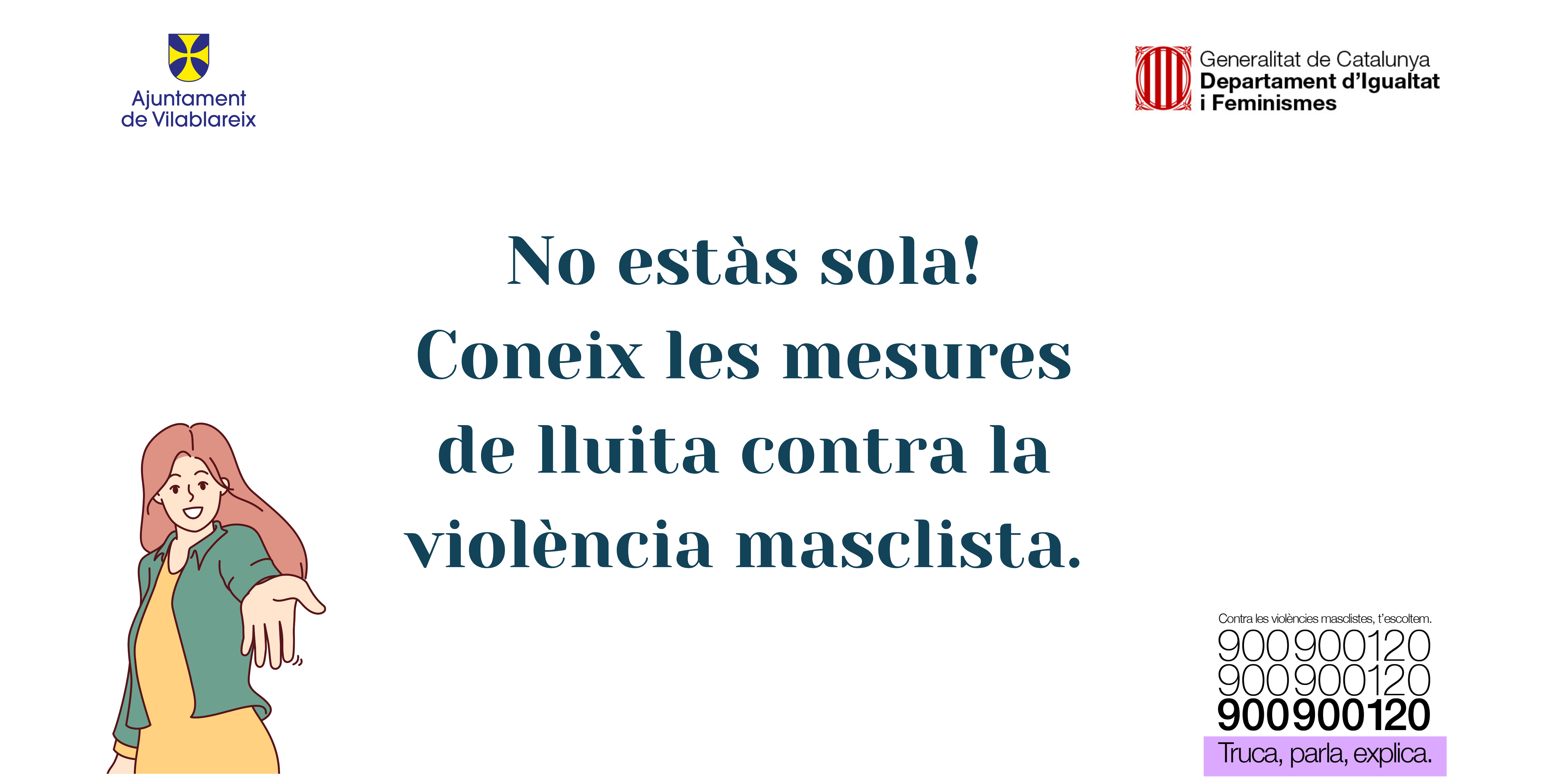 Mesures per lluitar contra la Violència Masclista