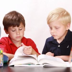 Dos nens fullejant un llibre